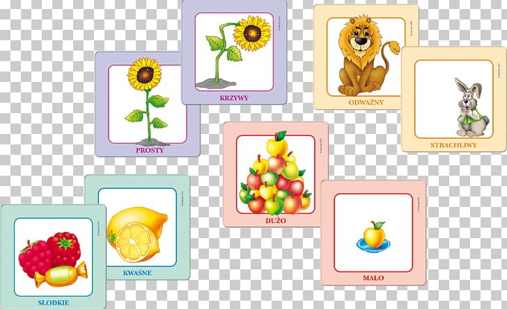 Floral Design Frames Product Rectangle PNG, Clipart, Art, Floral Design, Flower, Picture Frame, Picture Frames Free PNG Download