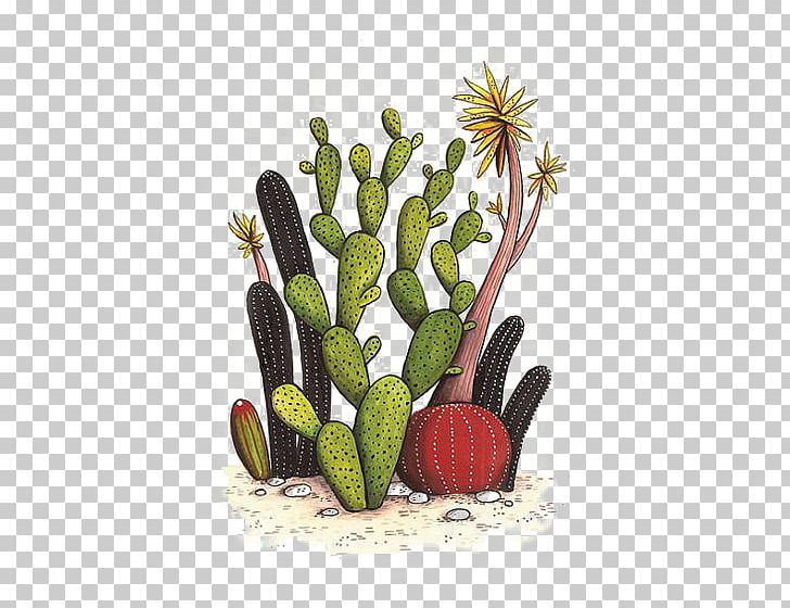 Cactaceae Drawing Watercolor Painting Succulent Plant Illustration PNG, Clipart, Cactus, Cactus Cartoon, Cactus Flower, Cactus Garden, Cactus Vector Free PNG Download