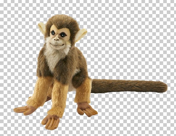 Cercopithecidae Stuffed Animals & Cuddly Toys Tiger Monkey Lion PNG, Clipart, Animals, Cercopithecidae, Common Squirrel Monkey, Felidae, Forest Free PNG Download