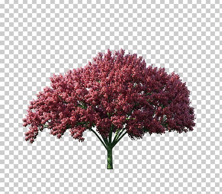 Tree PNG, Clipart, 3d Computer Graphics, Adobe Flash, Animation, Autumn, Blossom Free PNG Download