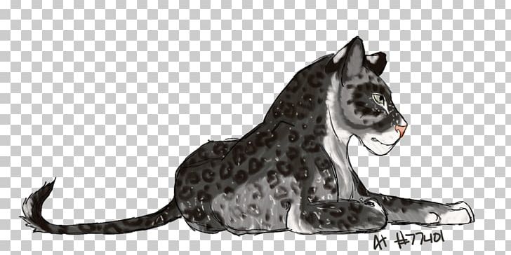 Whiskers Cat Cougar Dog Mammal PNG, Clipart, Animals, Big Cat, Big Cats, Black And White, Canidae Free PNG Download