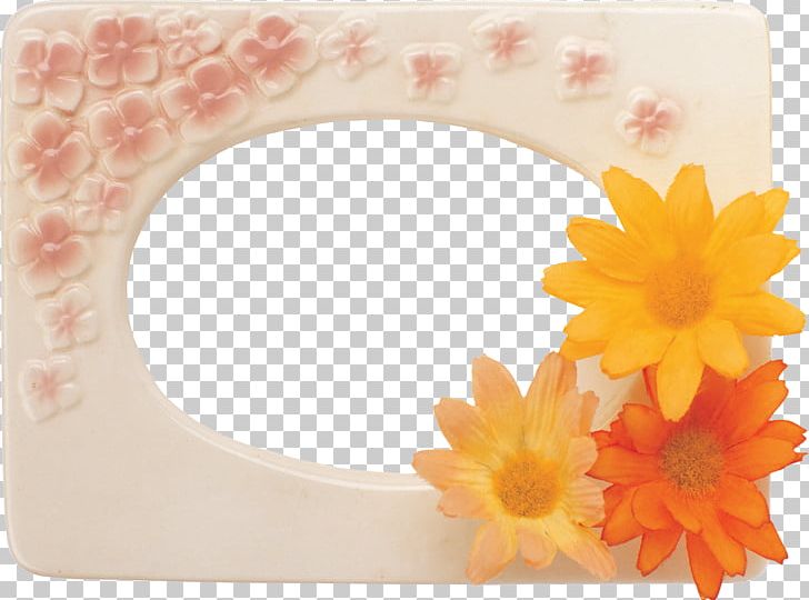 Frames Photography PNG, Clipart, Digital Photo Frame, Document, Download, Film Frame, Flower Free PNG Download