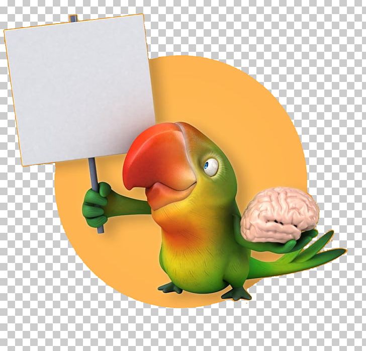 Lovebird Parrot Illustration PNG, Clipart, Animal, Animals, Animation, Beak, Bird Free PNG Download