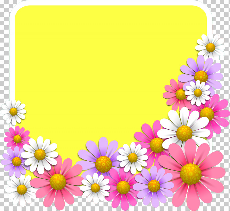 Flower Square Frame Floral Square Frame PNG, Clipart, Camomile, Chamomile, Daisy, Daisy Family, Floral Square Frame Free PNG Download