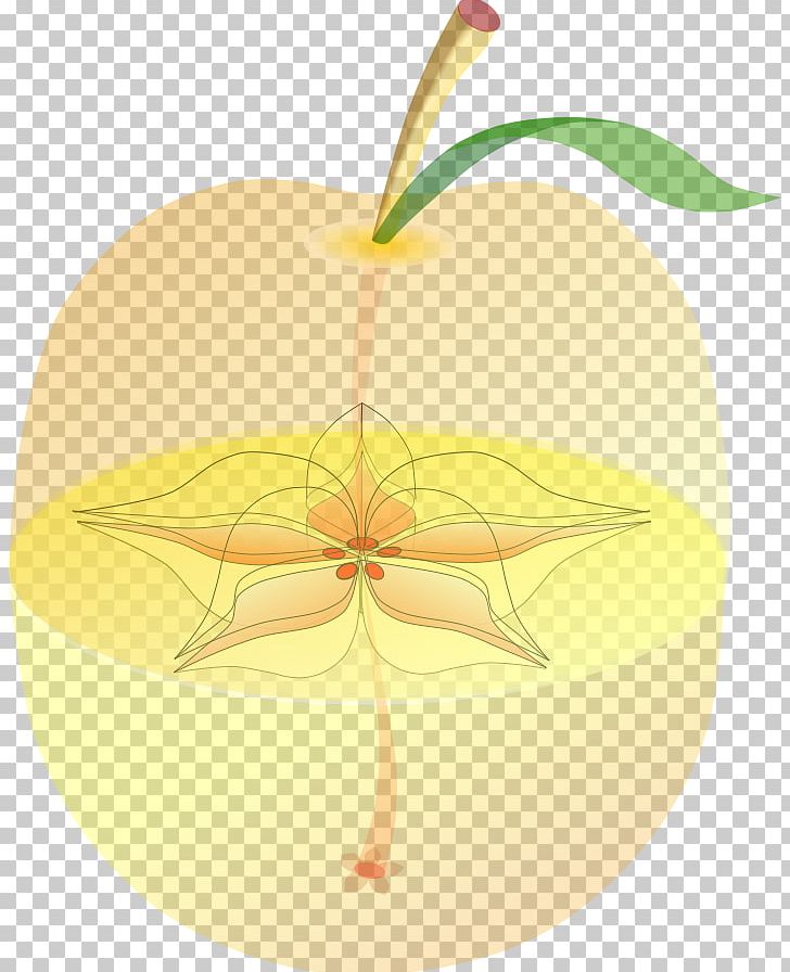 Apple Food Fruit Peach PNG, Clipart, Anatomy, Apple, Balalaika, Candy, Commodity Free PNG Download