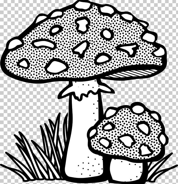 Mushroom Drawing Line Art Fungus PNG, Clipart, Amanita Muscaria, Art, Artwork, Black And White, Clip Art Free PNG Download