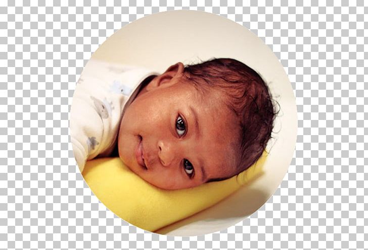 Infant Toddler PNG, Clipart, Cheek, Child, Infant, Prenatal Education, Toddler Free PNG Download