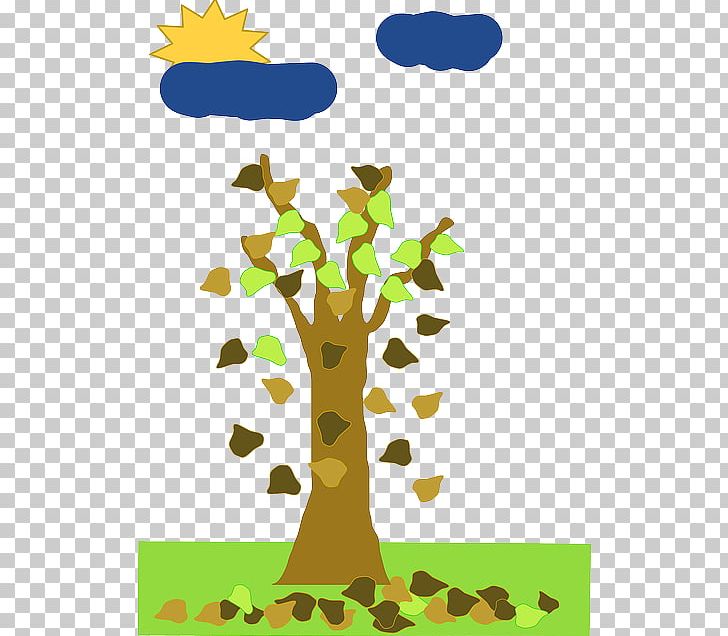 Leaf Tree PNG, Clipart, Area, Autumn, Branch, Cartoon, Digital Image Free PNG Download