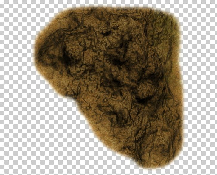 Rocky Balboa Tree Stump Soil Trunk PNG, Clipart, Driftwood, Fur, Rock, Rock Ground, Rocky Free PNG Download