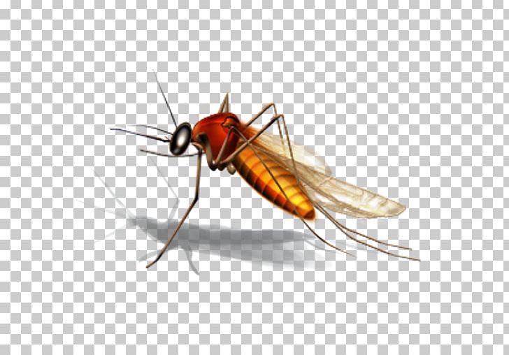 Why Mosquitoes Buzz In People's Ears Mosquito Control PNG, Clipart, Clip Art, Mosquito Control Free PNG Download