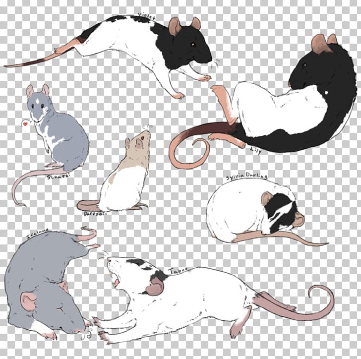 Cat Rat Drawing Sketch Watercolor Painting PNG, Clipart, Art, Carnivoran, Cat, Cat Like Mammal, Dog Like Mammal Free PNG Download
