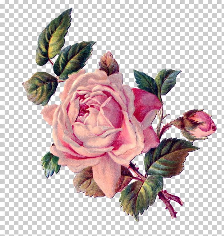 Flower Rose Pink PNG, Clipart, Artificial Flower, Collage, Cut Flowers, Decoupage, Floral Design Free PNG Download