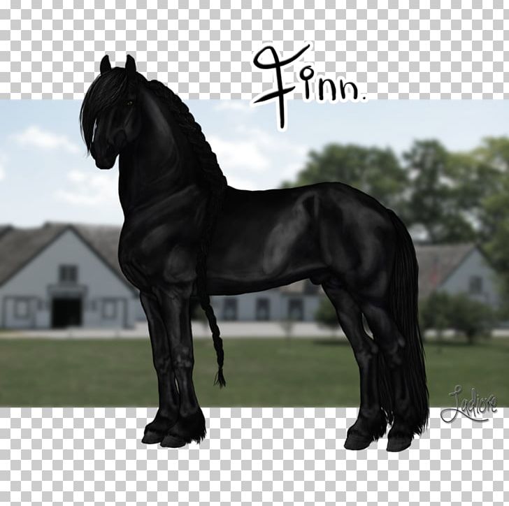 Stallion Mustang Bridle Mare English Riding PNG, Clipart, Bridle, English Riding, Equestrian, Halter, Horse Free PNG Download