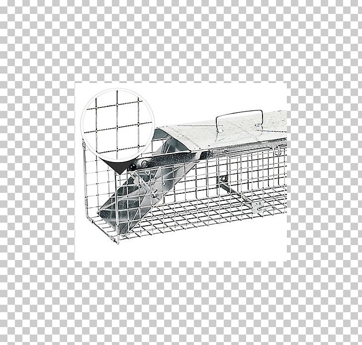 Trapping Cage European Rabbit Fish Trap PNG, Clipart, Angle, Animal, Animal Trap, Beech Marten, Cage Free PNG Download