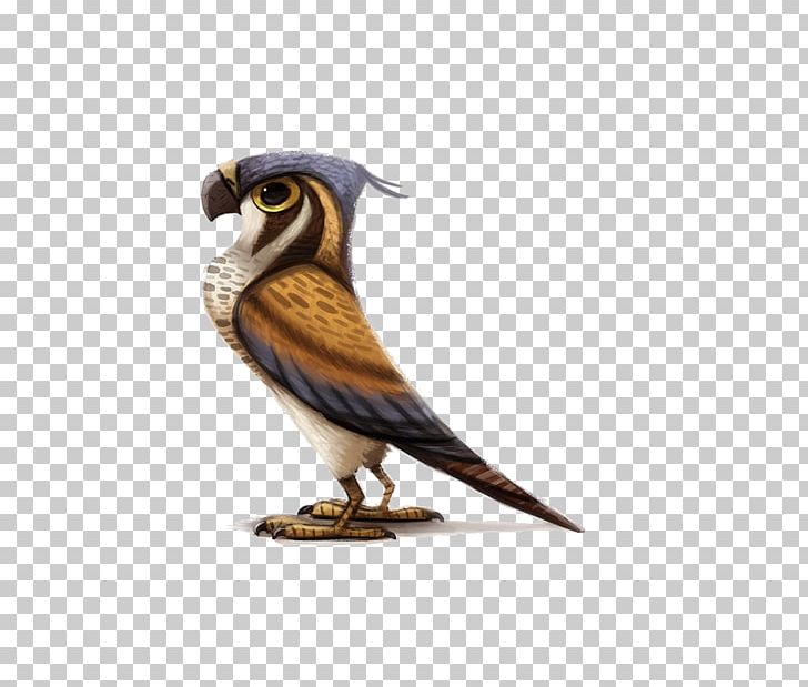 Drawing Model Sheet Art Character Illustration PNG, Clipart, Animals, Animation, Beak, Bird, Bird Of Prey Free PNG Download