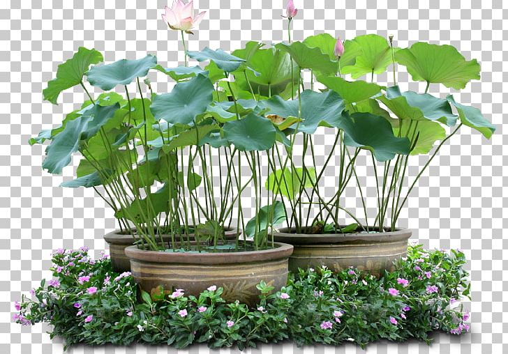 Flowerpot Crock Poterie En Toscane Houseplant PNG, Clipart, Annual Plant, Bulb, Crock, Deco, Flower Free PNG Download