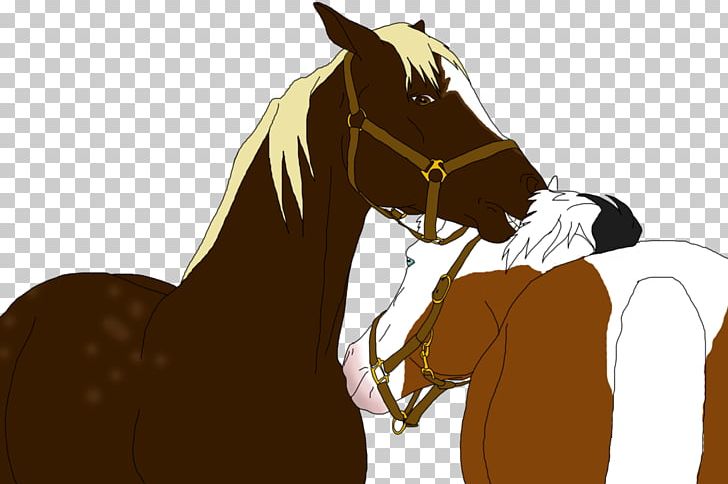 Mustang Stallion Rein Halter Pack Animal PNG