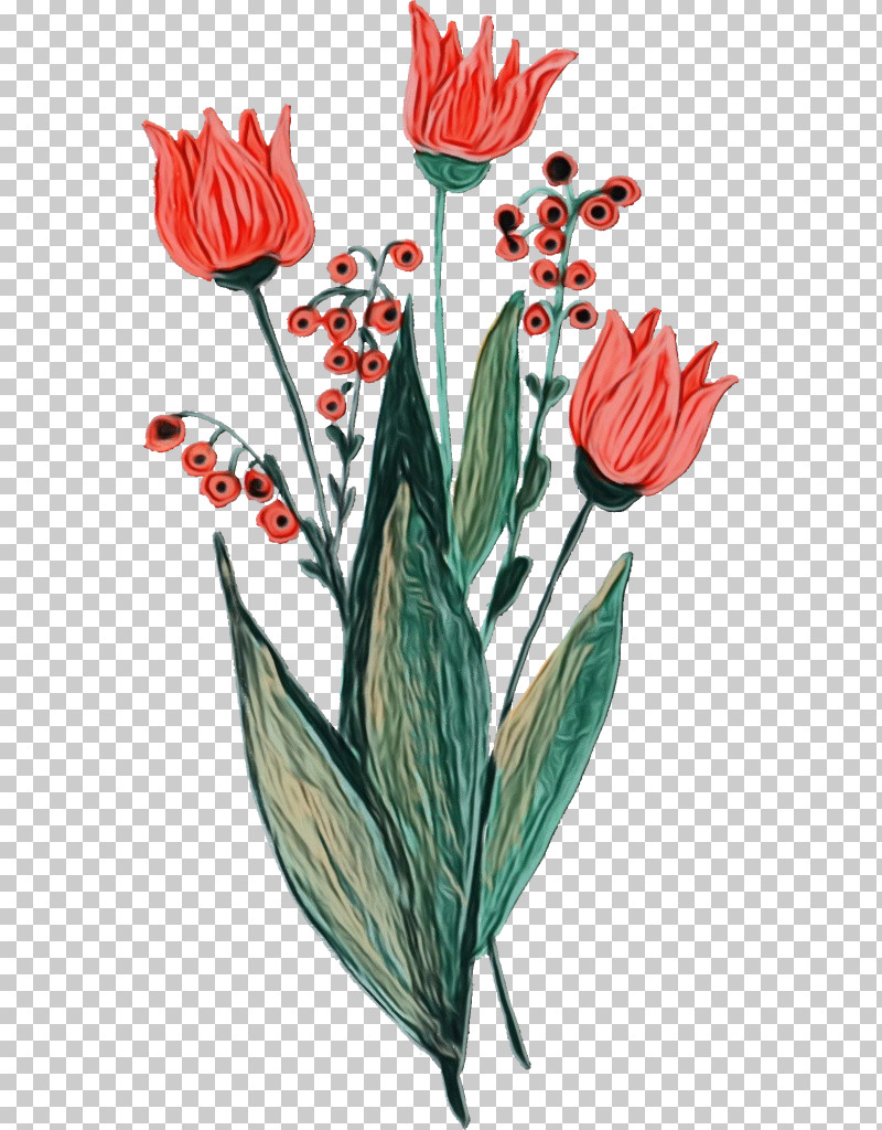 Plant Stem Cut Flowers Tulip Flowerpot Petal PNG, Clipart, Biology, Cut Flowers, Flower, Flowerpot, Paint Free PNG Download