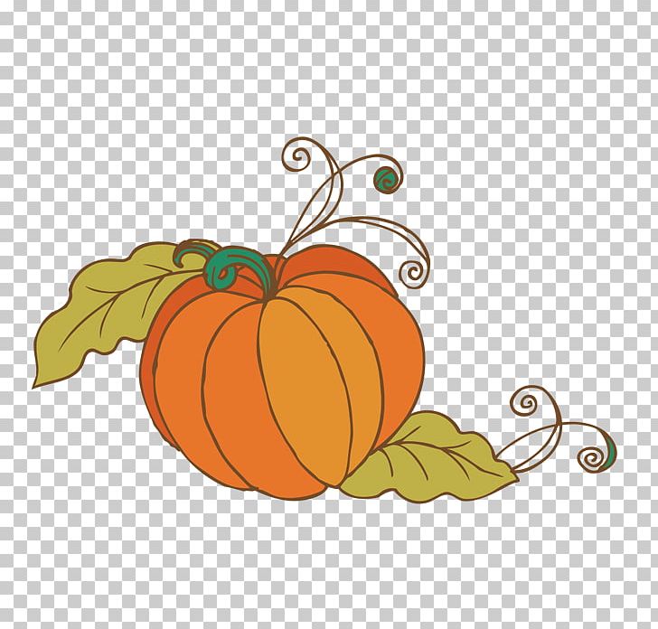 Pumpkin Calabaza Painting PNG, Clipart, Calabaza, Com, Cucurbita, Decorate, Flower Free PNG Download