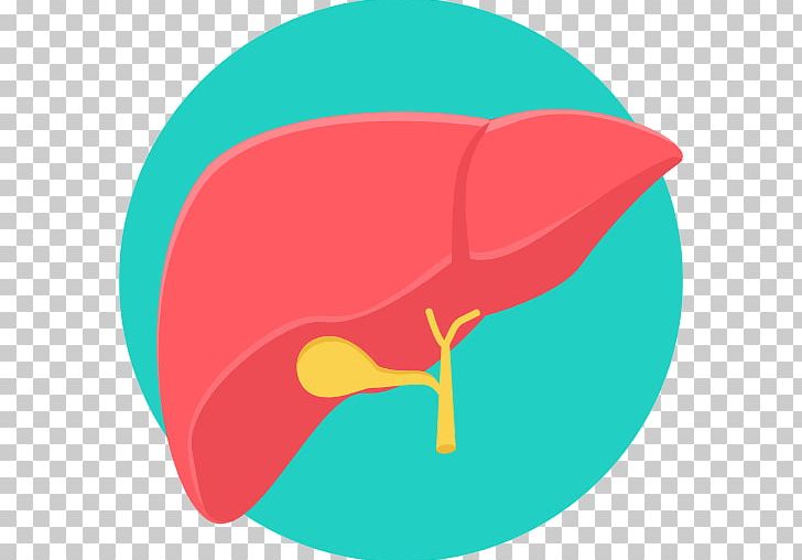 Liver Transplantation Computer Icons Medicine Liver Cancer PNG, Clipart, Anatomy, Cancer, Circle, Cirrhosis, Computer Icons Free PNG Download
