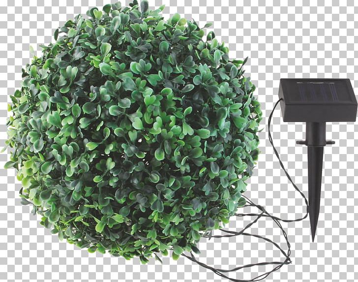 Light-emitting Diode LED Lamp Greenhouse PNG, Clipart, Electric Potential Difference, Garden, Grass, Greenhouse, Lamp Free PNG Download