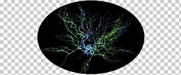 Neuron Scanning Electron Microscope Brain Nervous System Dendrite PNG, Clipart, Artificial Neural Network, Branch, Cell, Computer Wallpaper, Dendrite Free PNG Download