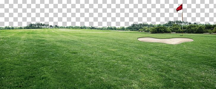 Golf Course Sports Venue PNG, Clipart, Artificial Turf, Backyard, Cloud, Course, Courses Free PNG Download
