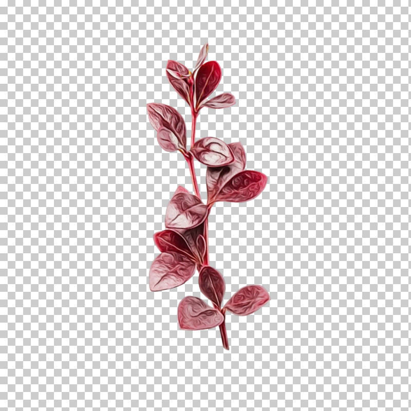 Flower Petal Branching Plants Biology PNG, Clipart, Biology, Branching, Flower, Paint, Petal Free PNG Download