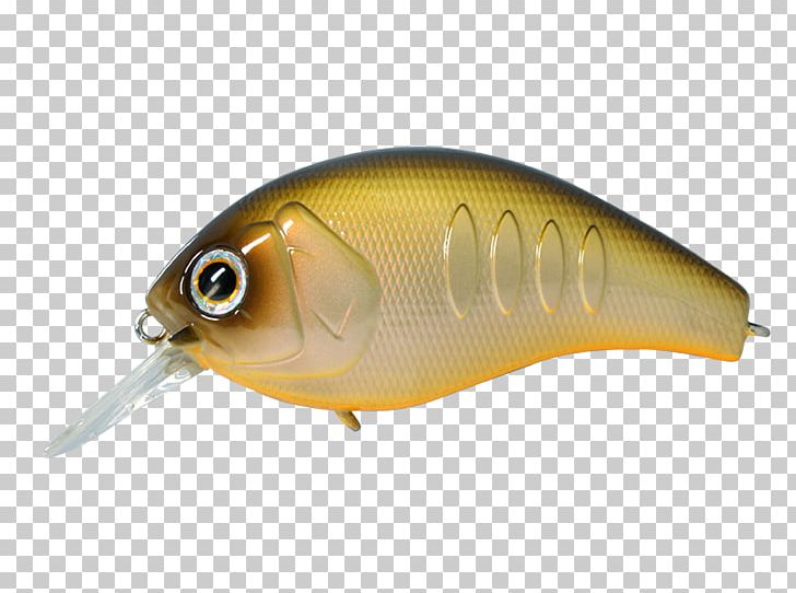 Korrigan Spoon Lure Fishing Baits & Lures 株式会社デプス PNG, Clipart, Amazoncom, Bait, Bony Fish, Cartuccia Magnum, Fish Free PNG Download