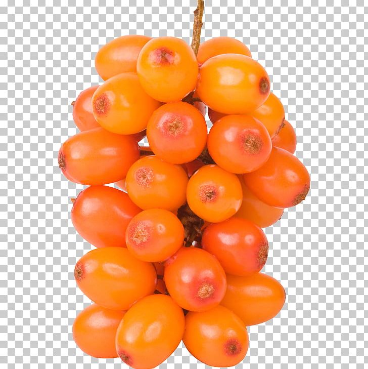 Seaberry Sea Buckthorn Oil Euclidean PNG, Clipart, Antioxidant, Berry, Food, Free, Fruit Free PNG Download