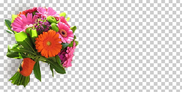 Transvaal Daisy Floral Design Cut Flowers Flower Bouquet PNG, Clipart, Annual Plant, Chrysanthemum, Chrysanths, Cut Flowers, Daisy Family Free PNG Download
