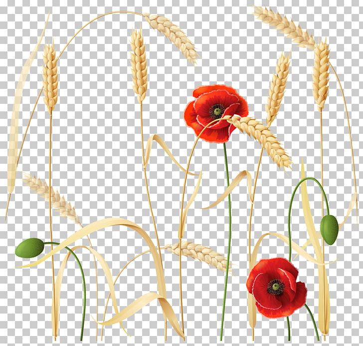 Yellow Flower Plant Gold PNG, Clipart, Artworks, Commodity, Coquelicot, Cut Flowers, Euclid Free PNG Download