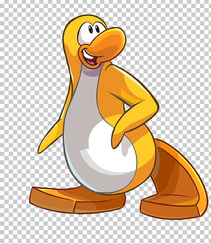 Club Penguin Island Wiki Yellow-eyed Penguin PNG, Clipart, Animals, Beak, Bird, Cartoon, Clothing Free PNG Download