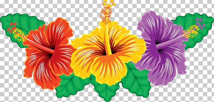 Hibiscus Flower Plant PNG, Clipart, Annual Plant, Cicek Resimleri, Cut Flowers, Flower, Flowering Plant Free PNG Download