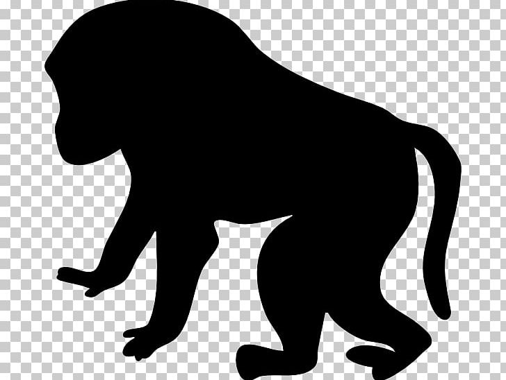 Mandrill Primate PNG, Clipart, Baboons, Big Cats, Black, Black And White, Carnivoran Free PNG Download