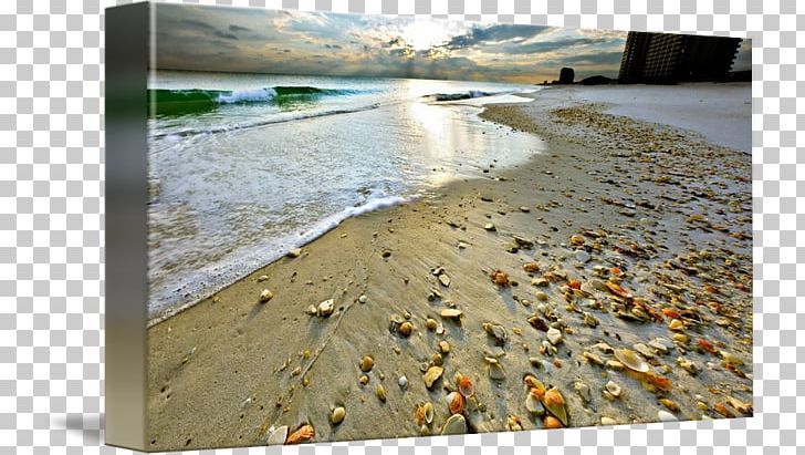 Navarre Shore Seashell Sand Beach PNG, Clipart, Art, Beach, Beachcombing, Beach Sunset, Caracol Free PNG Download