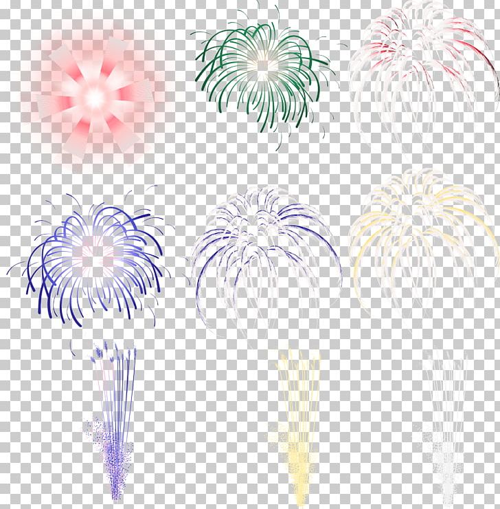 Pyrotechnics Light Fireworks PNG, Clipart,  Free PNG Download