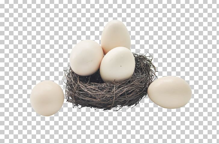 Chicken Egg Chicken Egg Food Soil PNG, Clipart, Basket, Basket Of Apples, Baskets, Cake, Chicken Free PNG Download