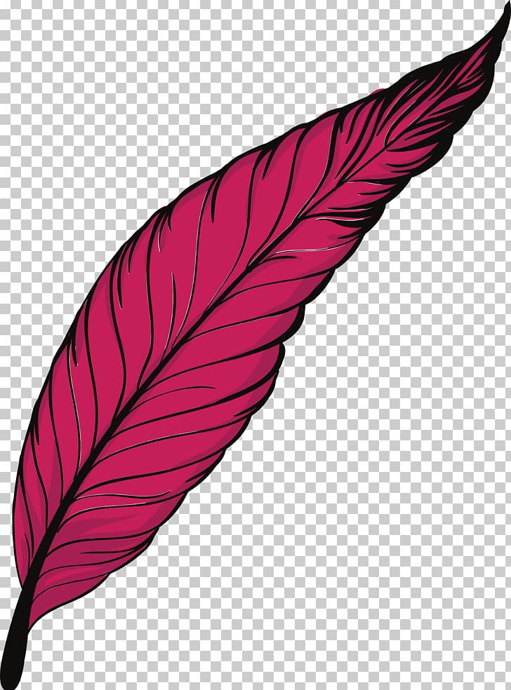 Feather Bird PNG, Clipart, Animals, Bird, Bulu Monster, Download, Encapsulated Postscript Free PNG Download