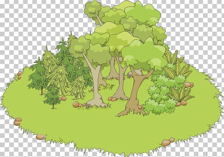 Forest Free Content PNG, Clipart, Biome, Blog, Clump Cliparts, Ecosystem, Flowering Plant Free PNG Download