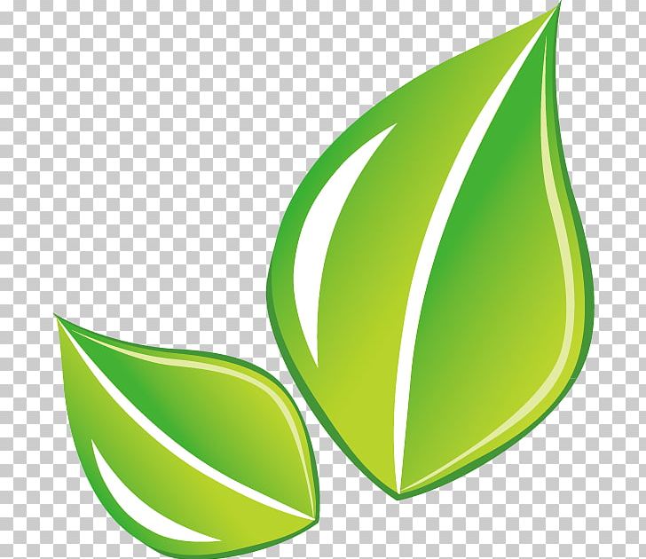 Leaf Green PNG, Clipart, Background Green, Encapsulated Postscript, Fall Leaves, Fruit, Grass Free PNG Download