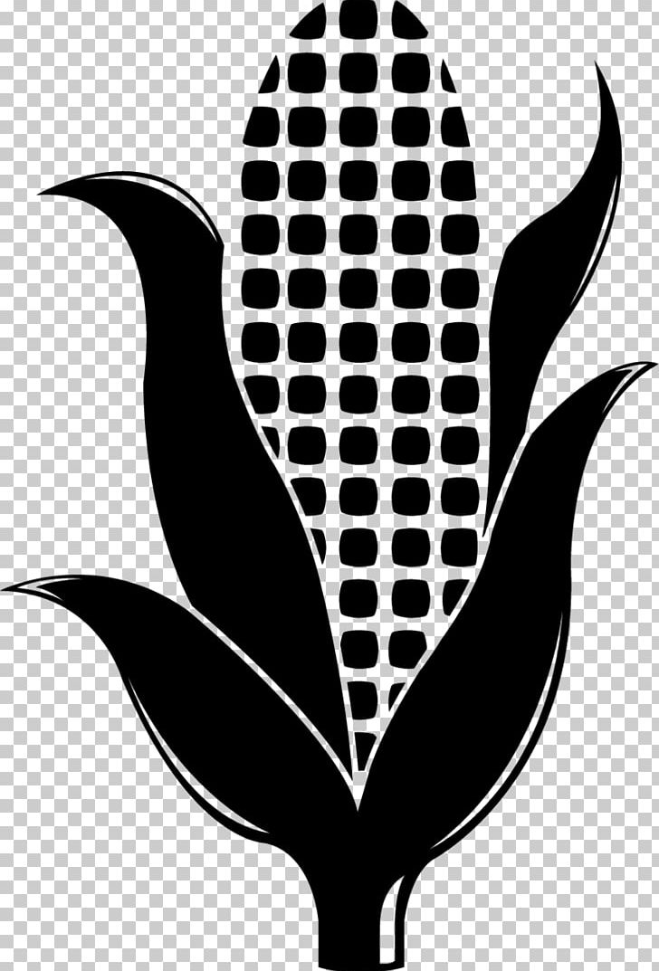 Seed Company Leaf Plant Stem PNG, Clipart, 6 Inch, Black And White, Database Index, Flora, Height Free PNG Download