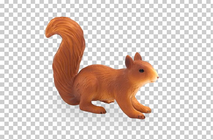 Eastern Gray Squirrel Raccoon Red Squirrel Skunk PNG, Clipart, Animal, Animal Figure, Animals, Child, Eastern Gray Squirrel Free PNG Download