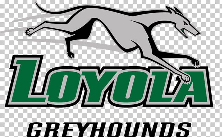 Loyola University Maryland Loyola Greyhounds Men's Basketball University Of Maryland PNG, Clipart,  Free PNG Download