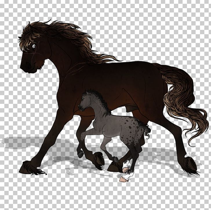 Mustang Stallion Foal Colt Mare PNG, Clipart, Colt, Dad And Daughter, Foal, Halter, Horse Free PNG Download