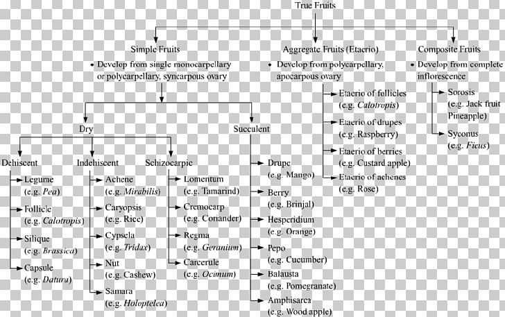 Line Angle Diagram PNG, Clipart, Angle, Area, Art, Diagram, Line Free PNG Download