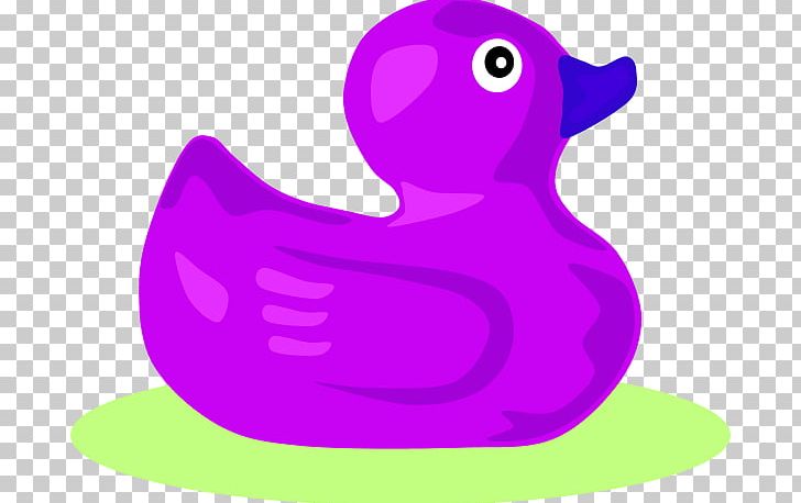 Rubber Duck Purple PNG, Clipart, Beak, Bird, Cartoon, Color, Duck Free PNG Download