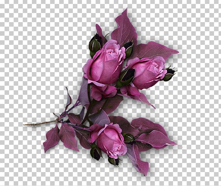 Garden Roses Flower PNG, Clipart, Artificial Flower, Centifolia Roses, Clip Art, Cut Flowers, Floral Design Free PNG Download