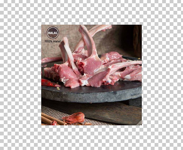 Venison Goat Sheep Ribs Gosht PNG, Clipart, Animal Fat, Animals, Animal Source Foods, Beef, Chop Free PNG Download