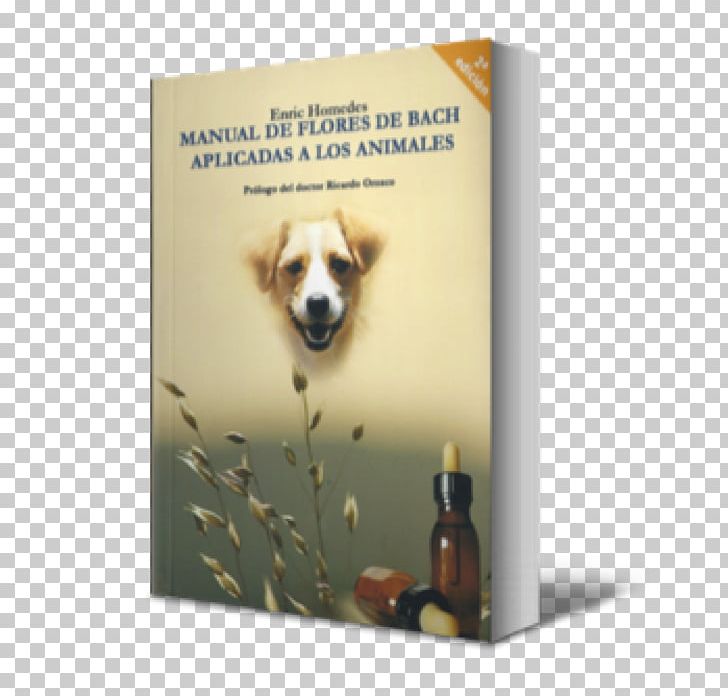 Cat Bach Flower Remedies Dog Breed Therapy PNG, Clipart, Advertising, Animal, Animals, Author, Bach Flower Remedies Free PNG Download